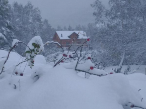 Chalet bois au milieu des Pyrénées L'hospitalet-Près-L'andorre